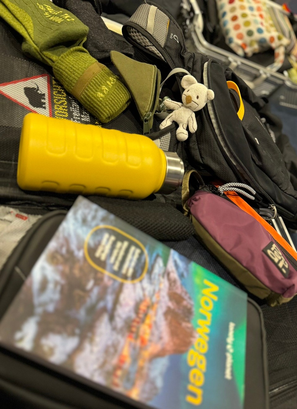 Deutschland - Potsdam - Packen… diesmal ein bisschen herausfordernder. 
Klamotten,Ausrüstung,Verpflegung,drei Menschen & Hund in ein Auto. 