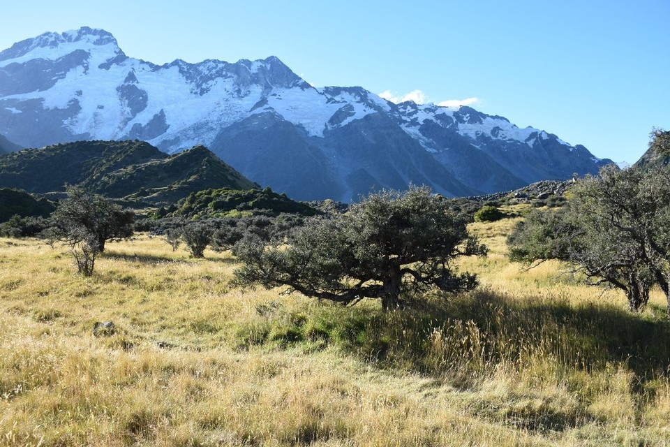 Neuseeland - Mount Cook - 