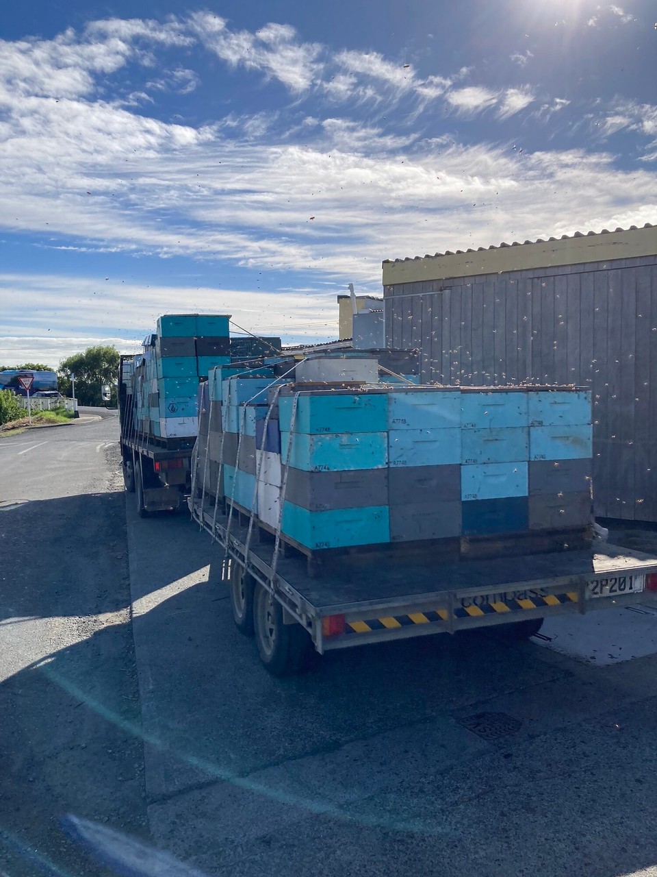 Neuseeland - Awanui - Heute ist wieder Bienen füttern angesagt, die Kästen gehen aber zum Schleudern zur Honiggewinnung 😃