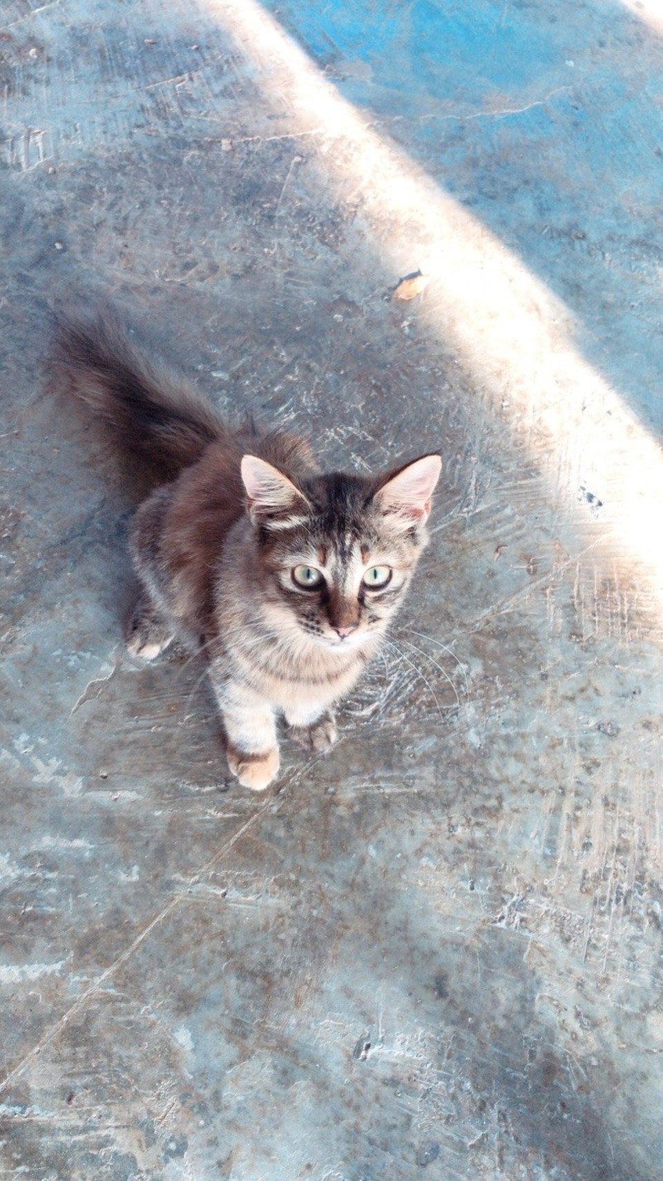 Malaysia -  - 