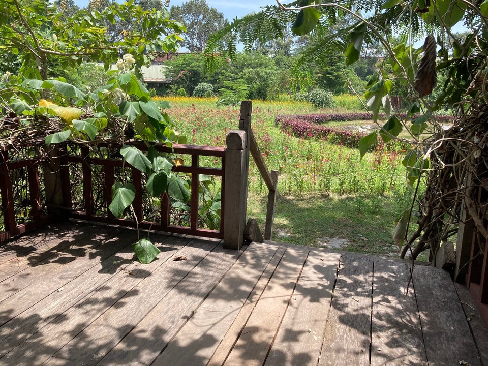 Kambodscha - Siem Reap - Zeit für ein Mittagsschläfchen 🤪😴