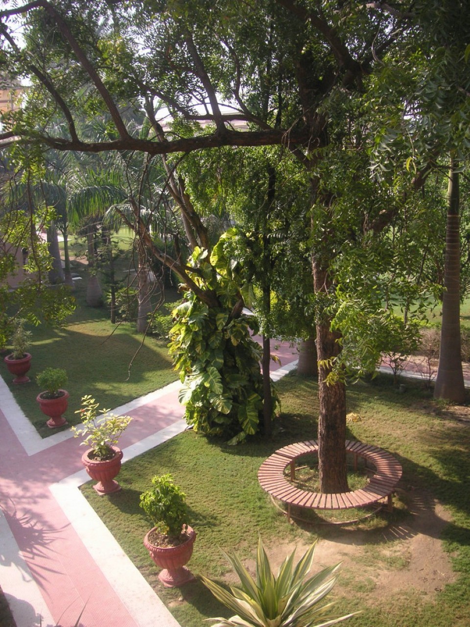 Indien - Udaipur - 