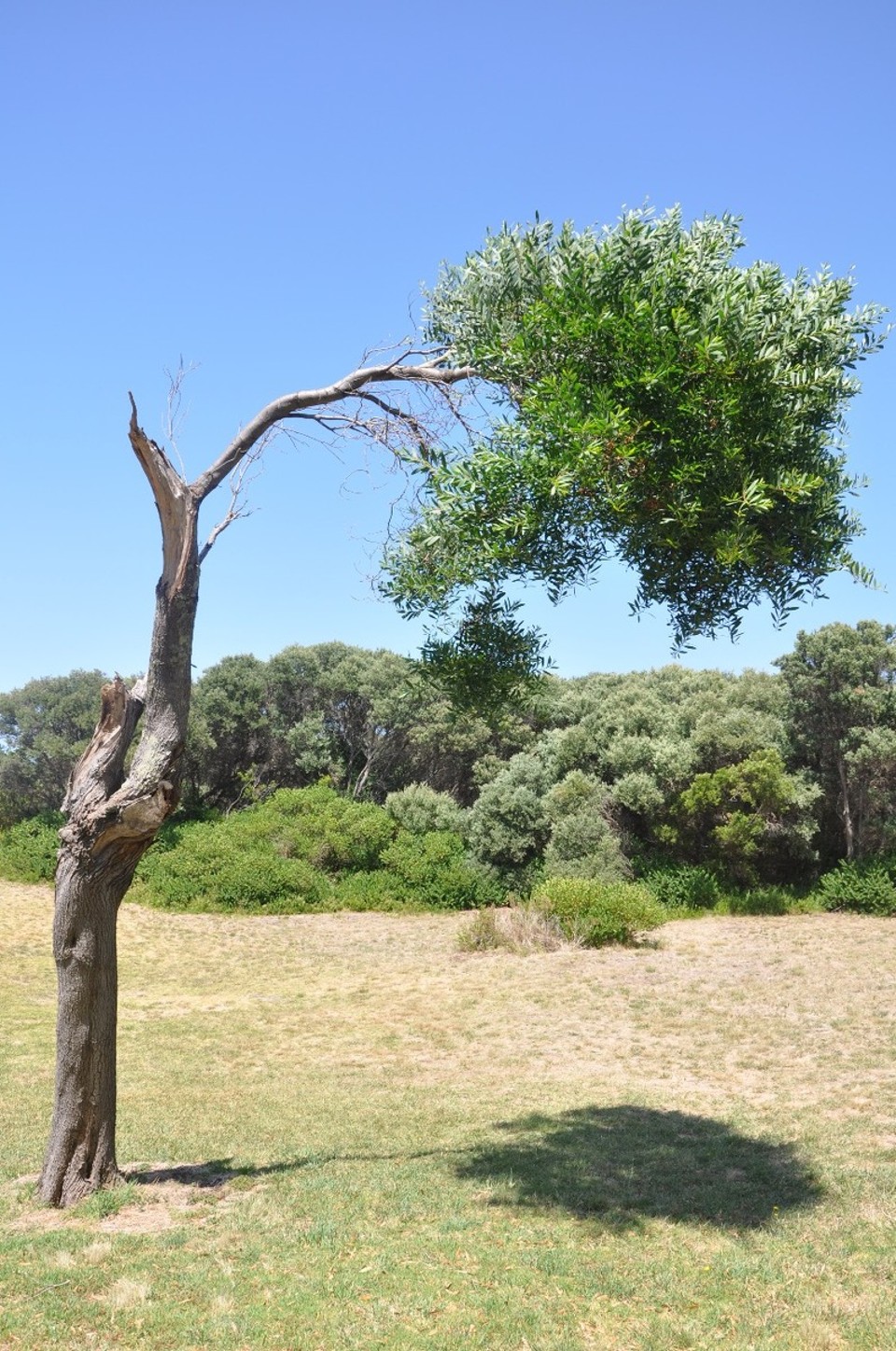 Australien - Warrnambool - 