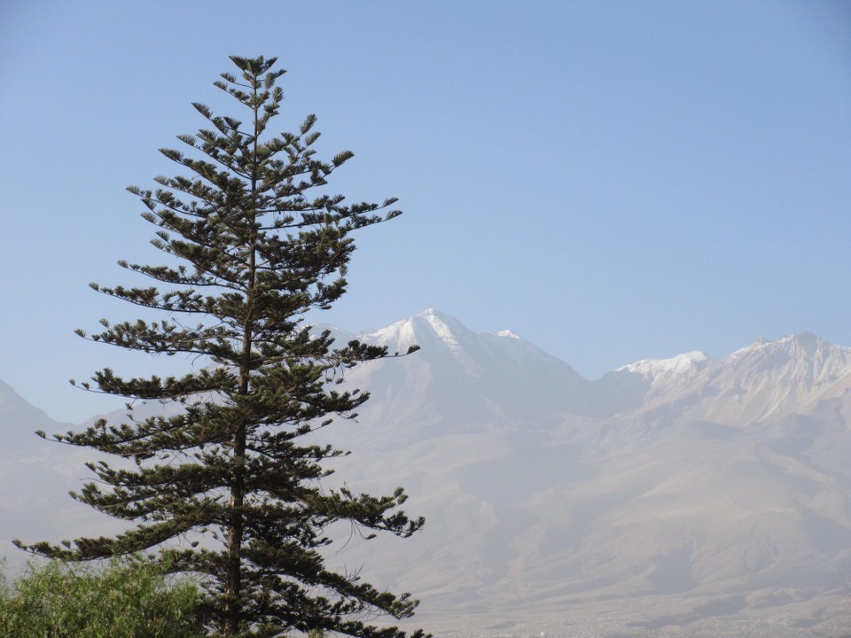 Peru - Arequipa - 