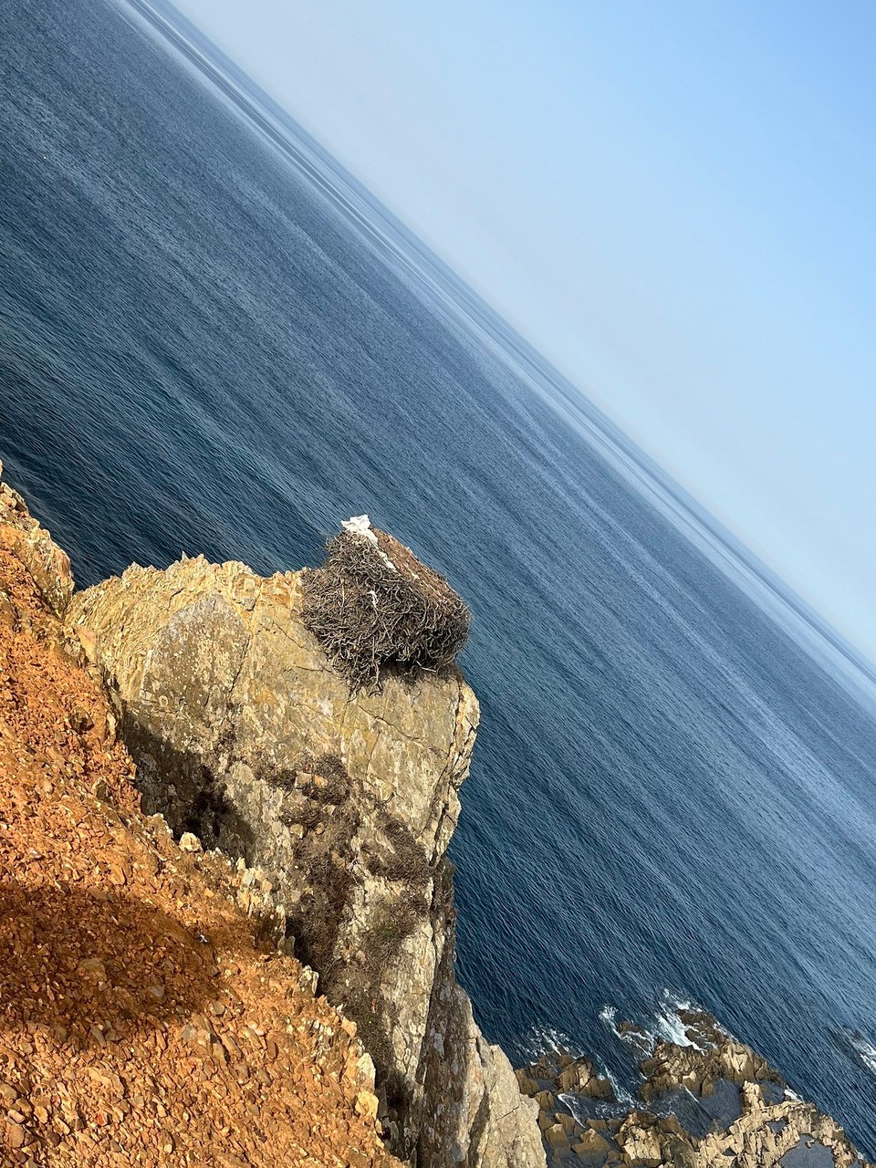 Portugal - Zambujeira do Mar - Leer… und die Plastiktüte irritiert ein wenig.
