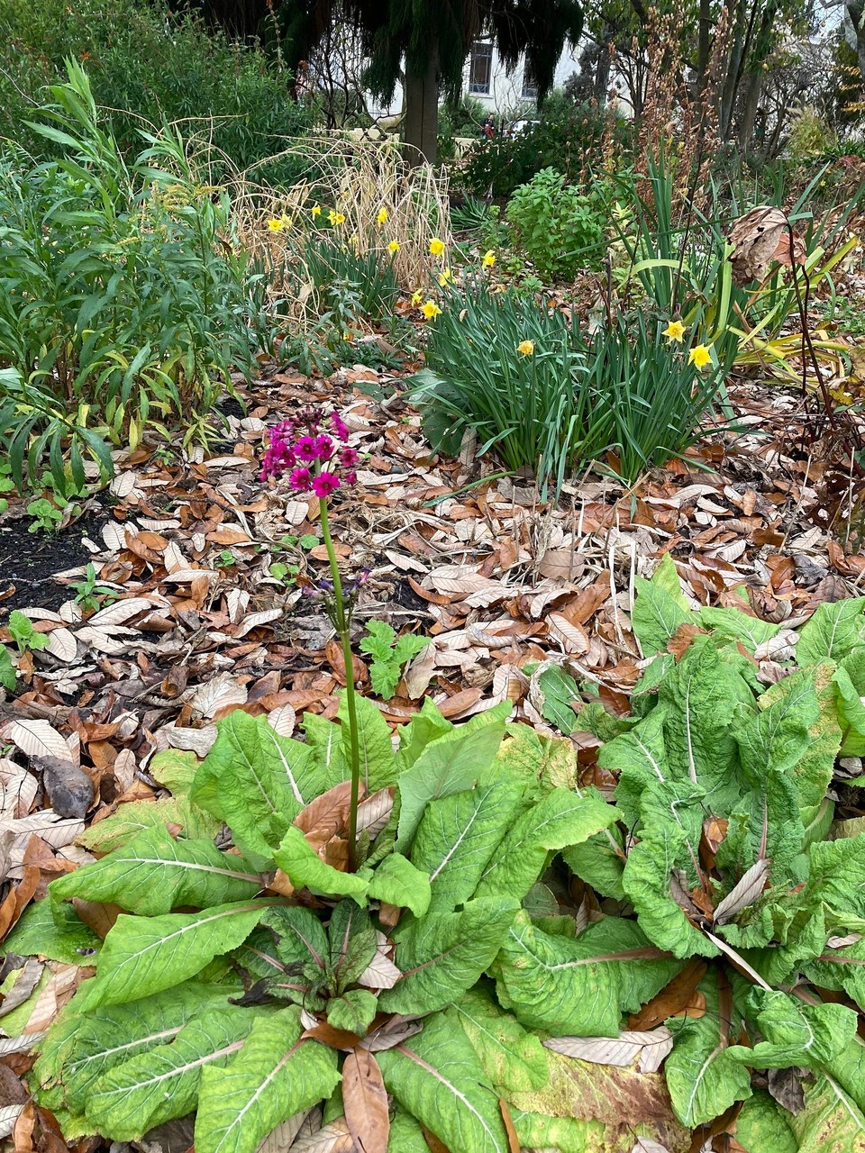 Neuseeland - Blenheim - Frühling?! 🫣🤔