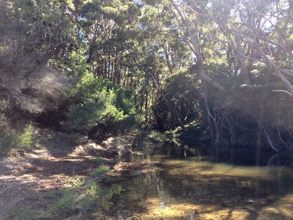 Australien -  - Lagoon at Hyams Beach. 