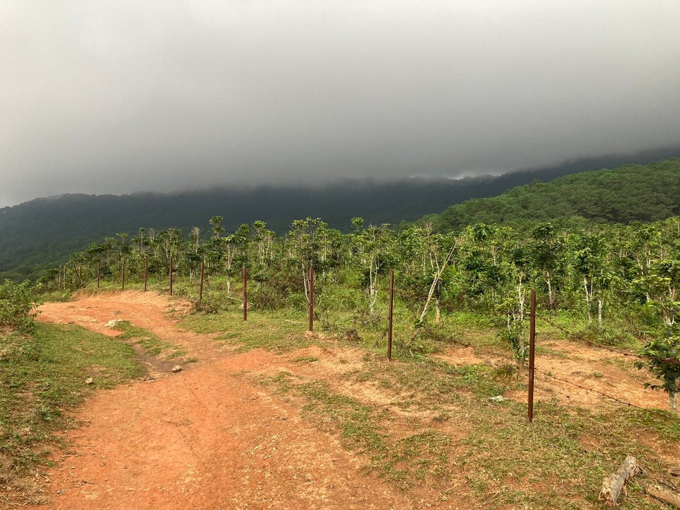 Vietnam - Lac Duong - Rechtzeitig abgestiegen 😎