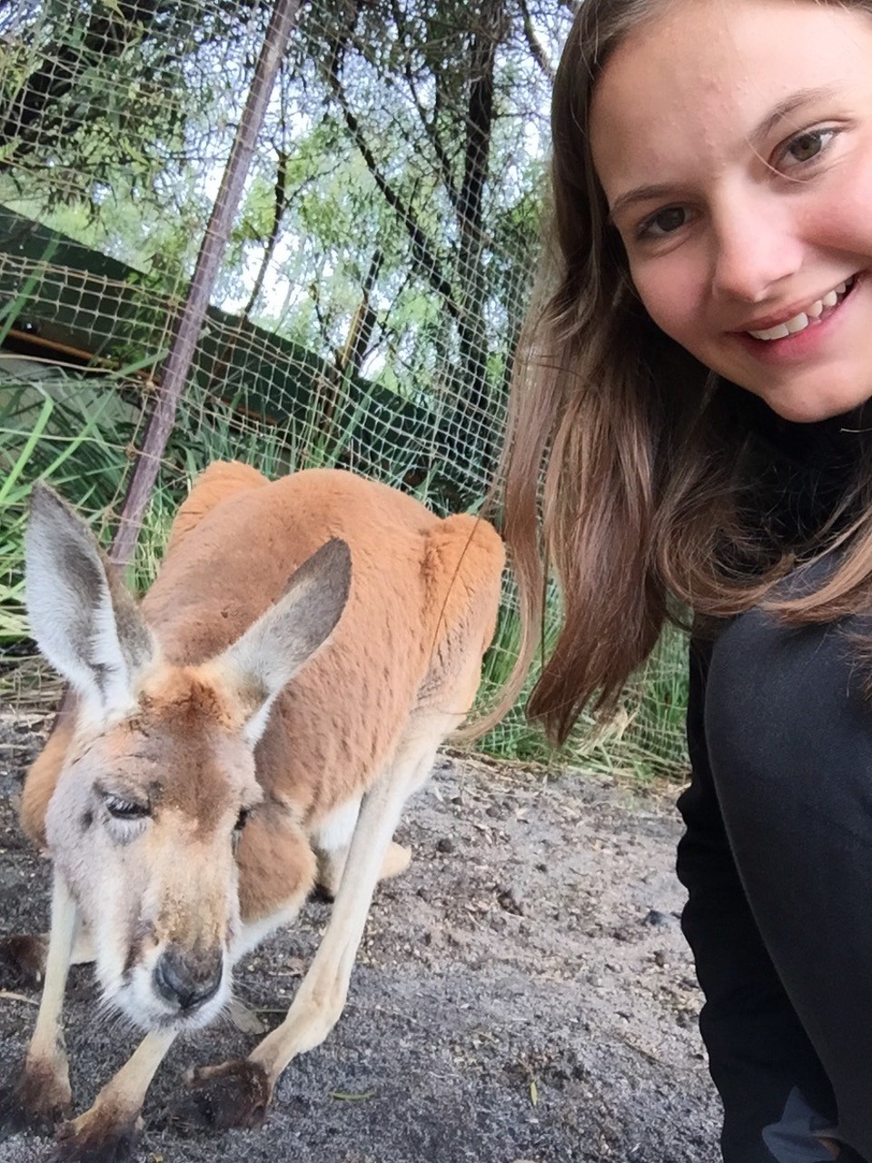 Australien - Perth - Ein Selfie mit einem Känguru darf natürlich nicht fehlen ☺️