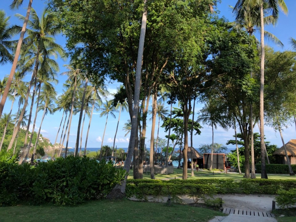 Thailand - Ko Tao - 
