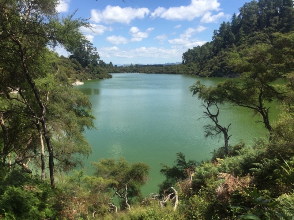 Neuseeland - Rotorua - 