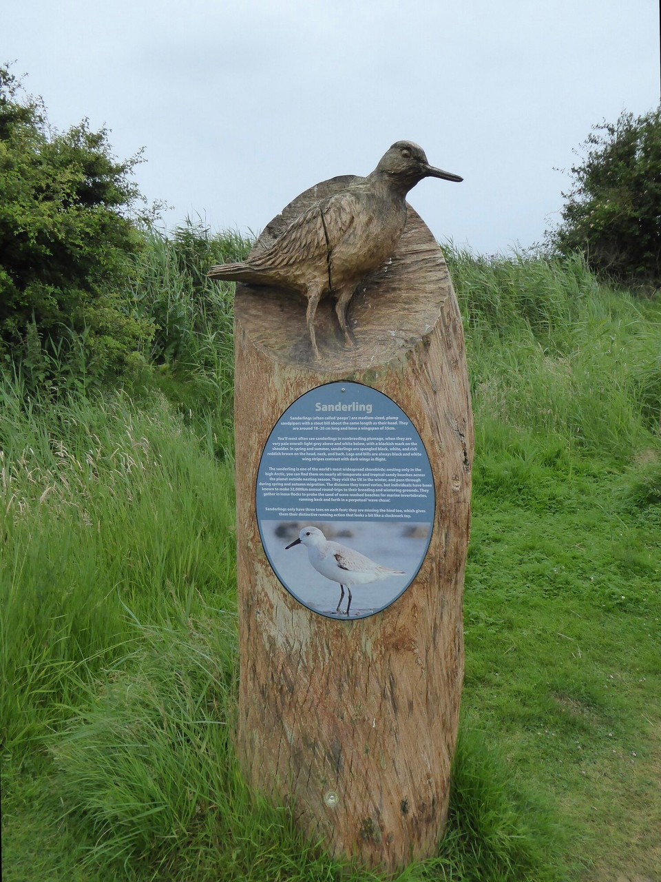 United Kingdom - Southwold - 