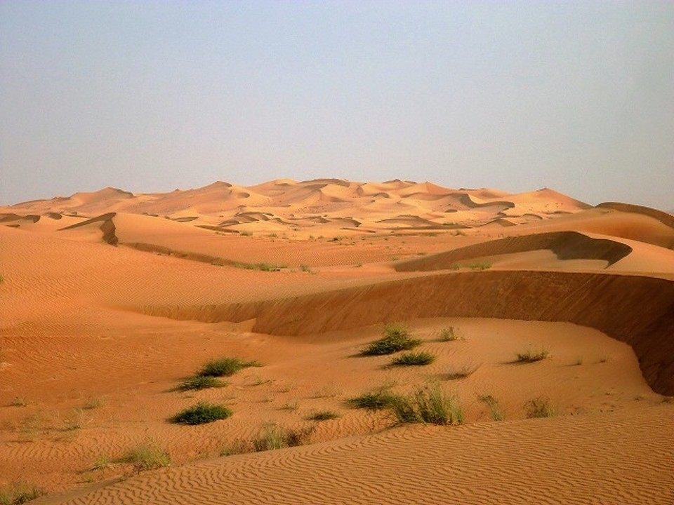 Vereinigte Arabische Emirate -  - 