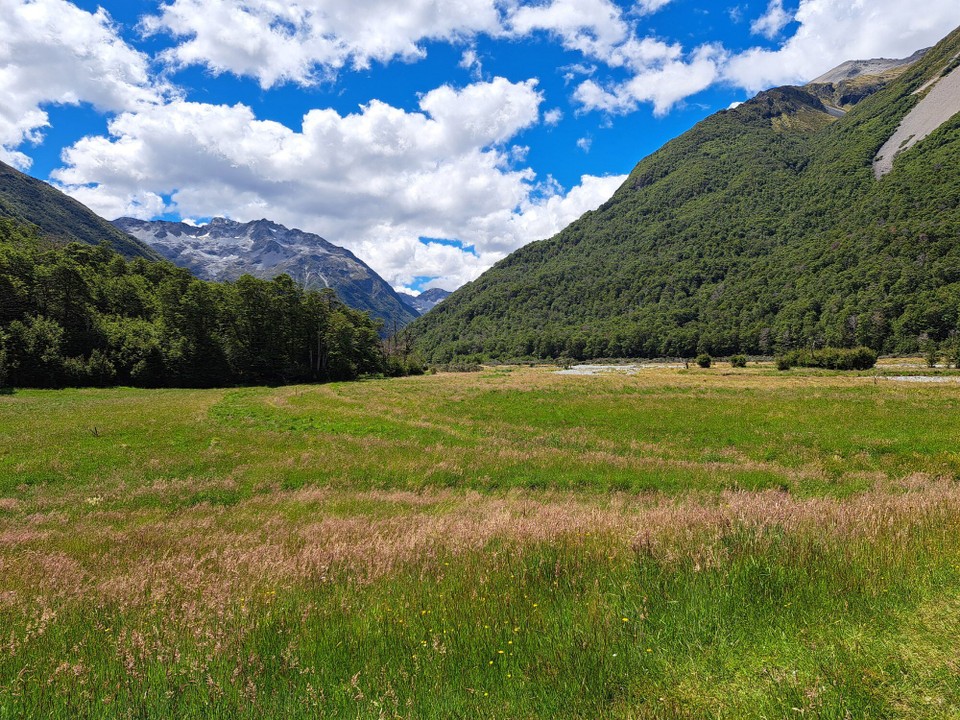Neuseeland - Waiau - 