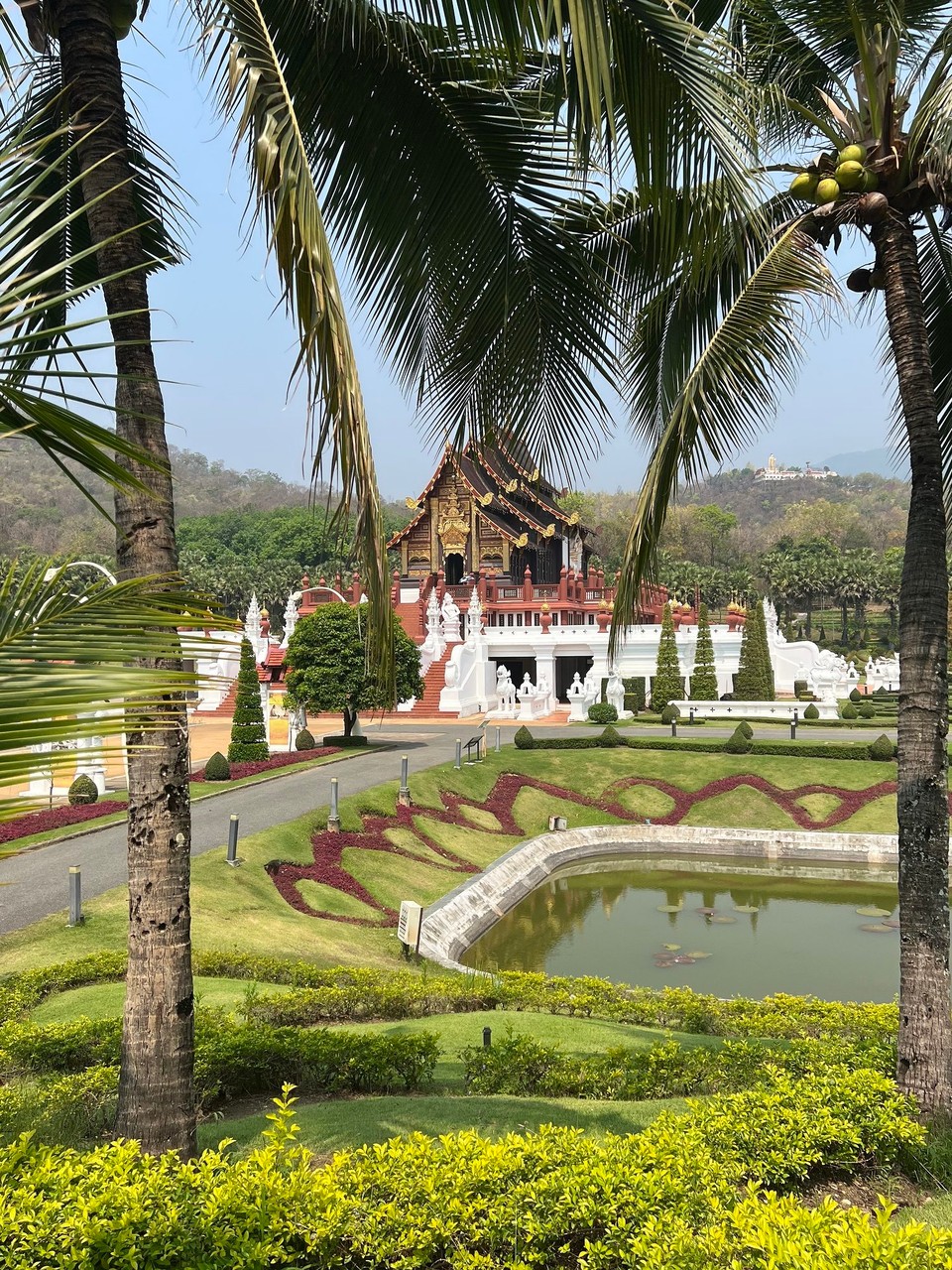 Thailand - Chiang Mai - Mittagessen mit Blick auf den Tempel 🥯