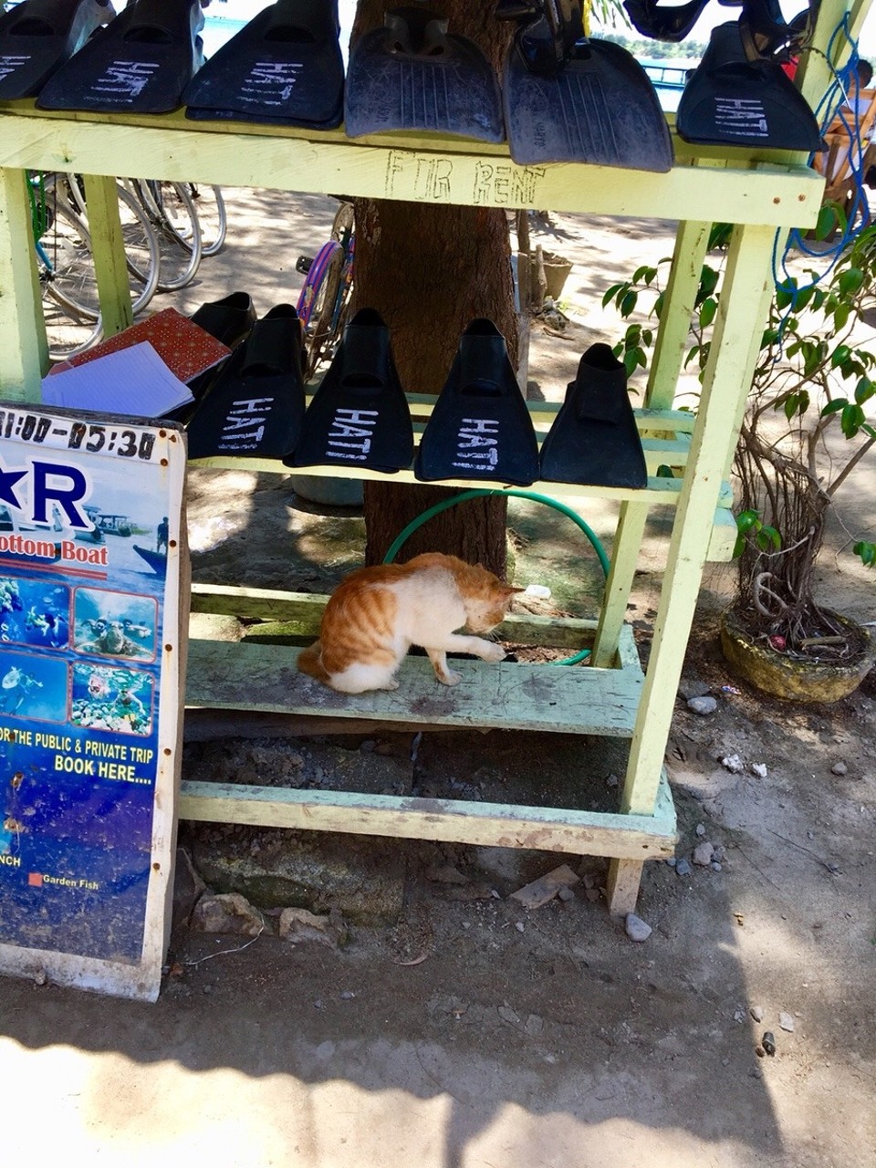 Indonesien - Lombok Utara - 