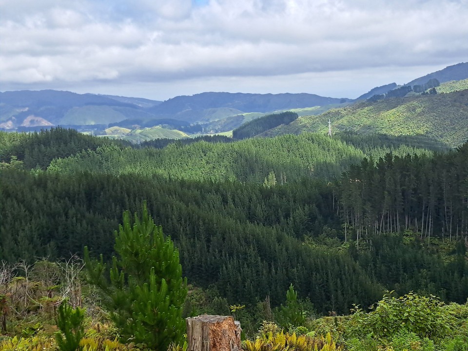 Neuseeland - Waikanae - 