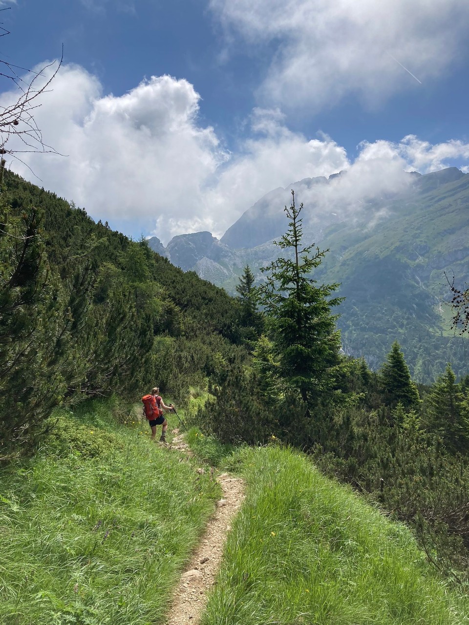 Italien - Alleghe - Mal wieder durch Wald