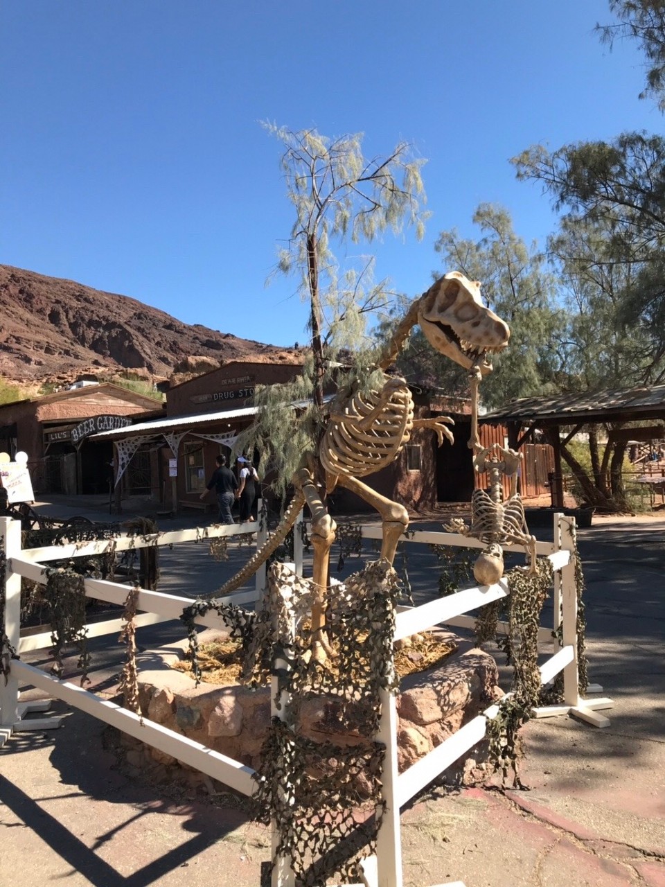 Vereinigte Staaten - Yermo - 