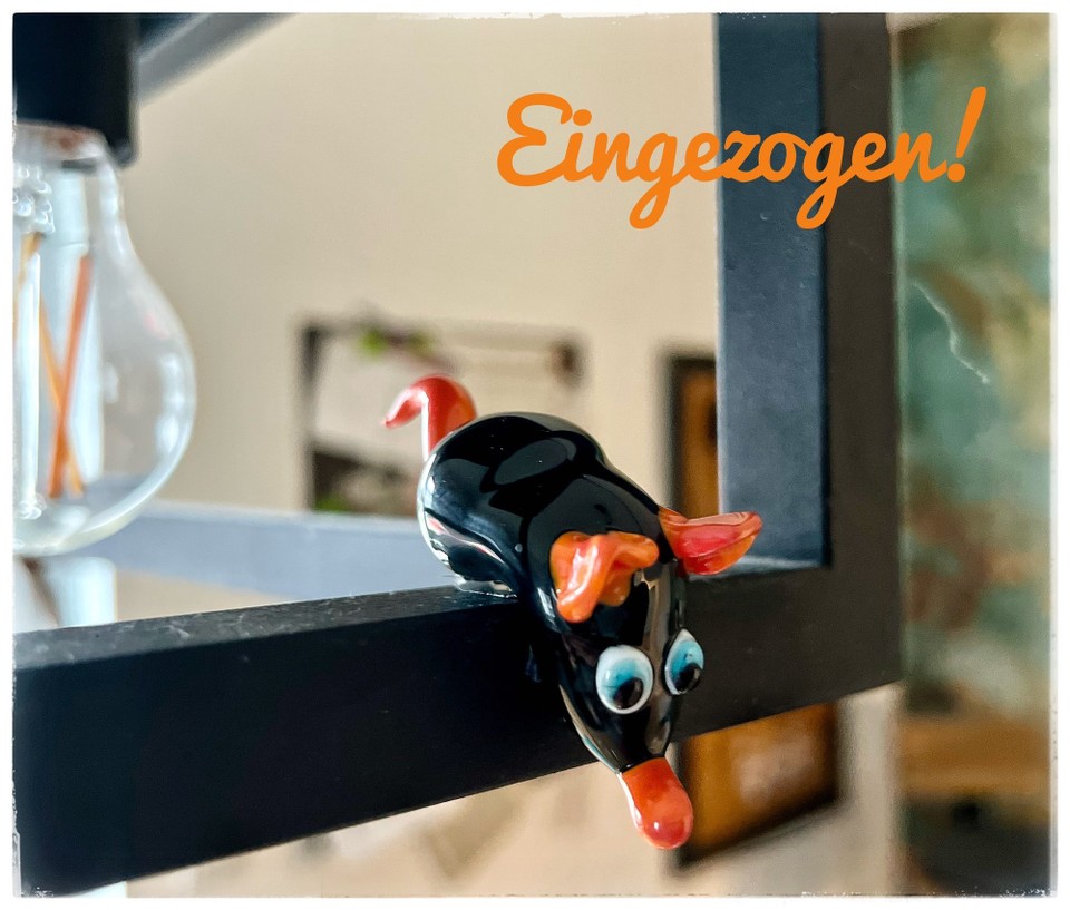 Deutschland - Brandenburg an der Havel - Otto hat sein Plätzchen gefunden! :0)