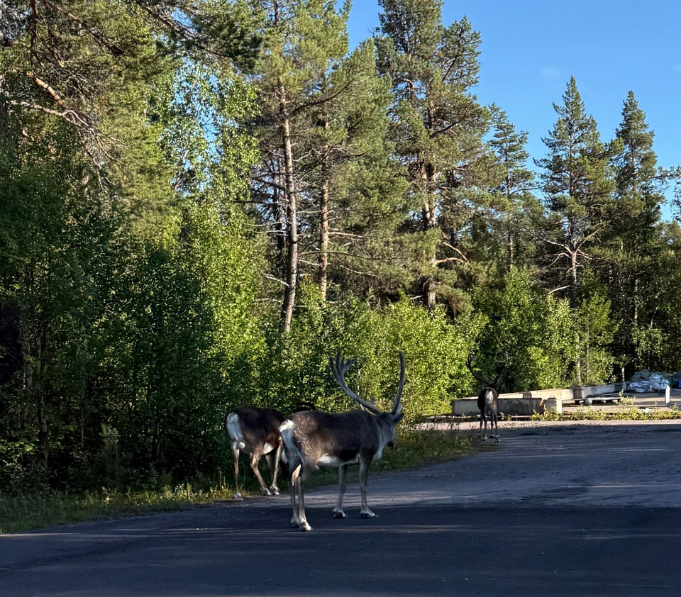 Schweden - Jukkasjärvi - 