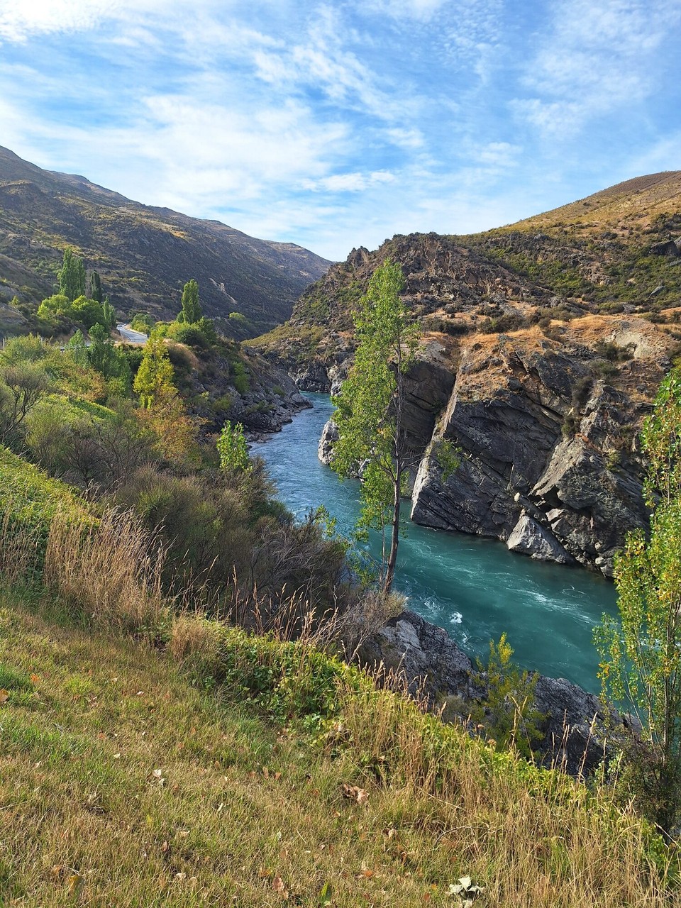 Neuseeland - Cromwell - 