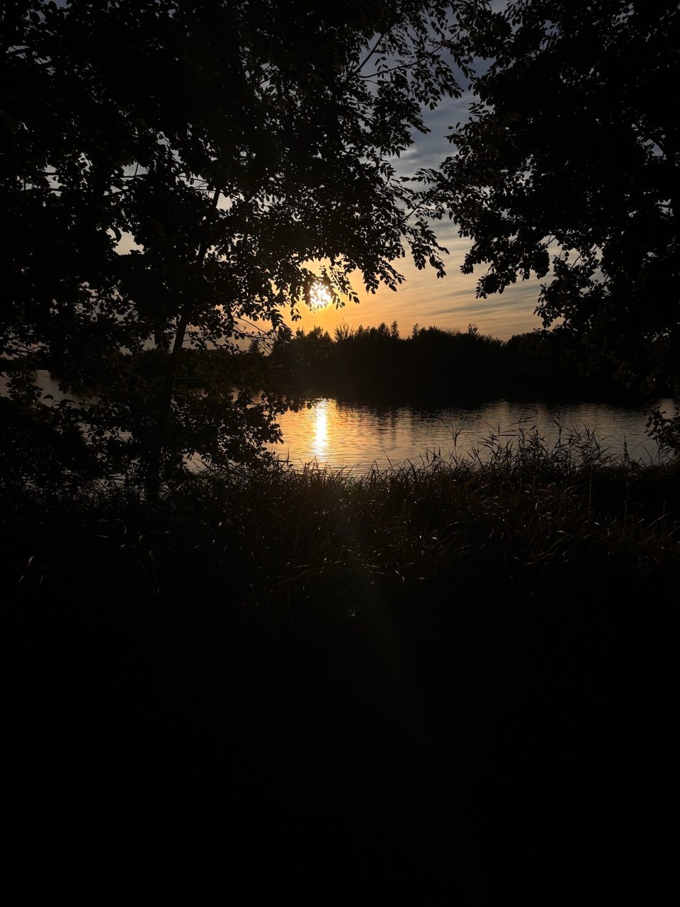 Niederlande - Giethoorn - 