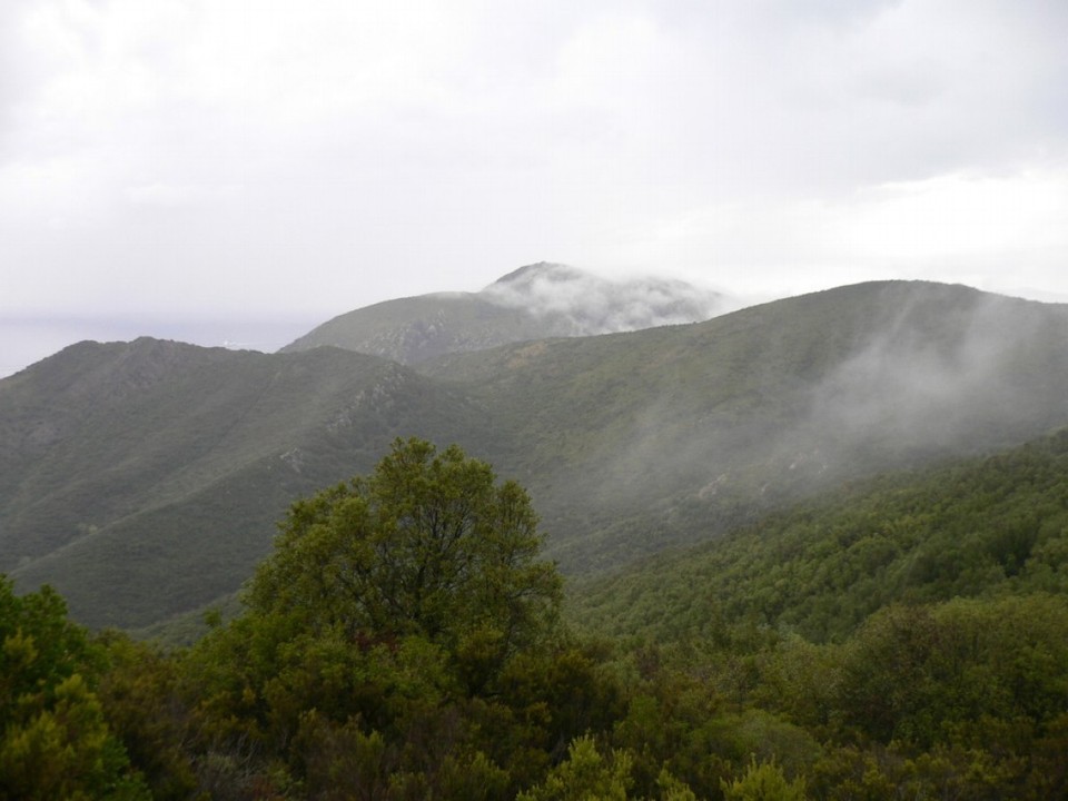 Italien - Elba - 