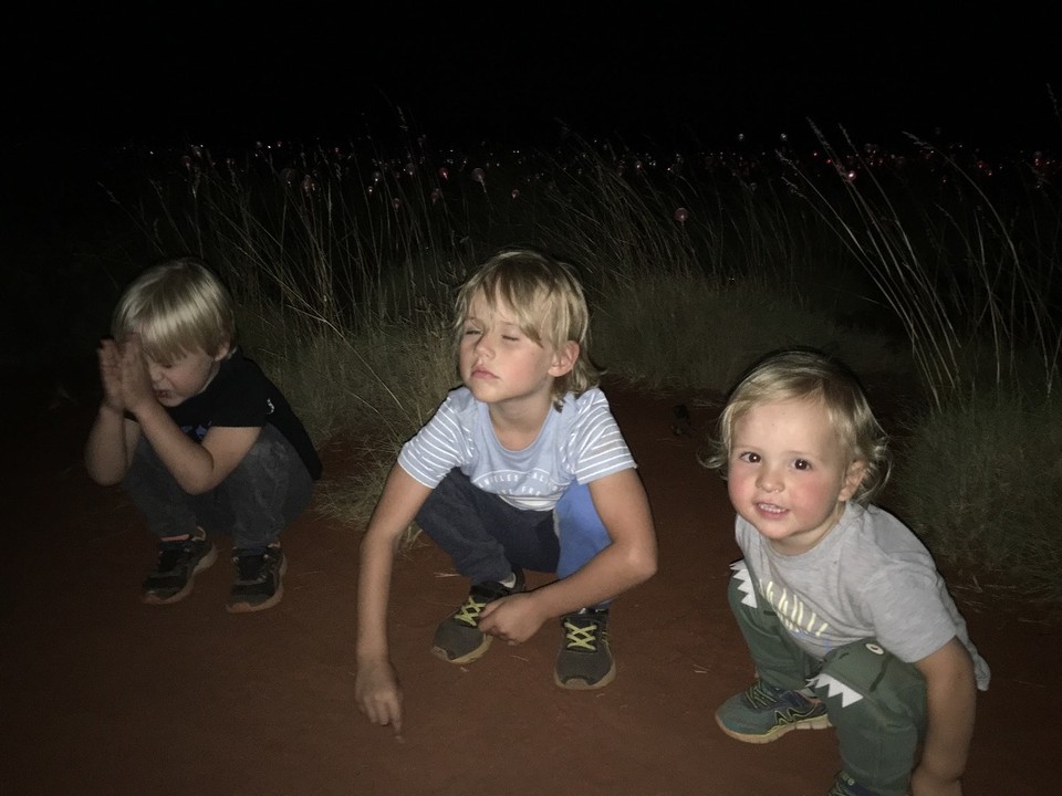 Australia - Mona Vale - Field of Lights