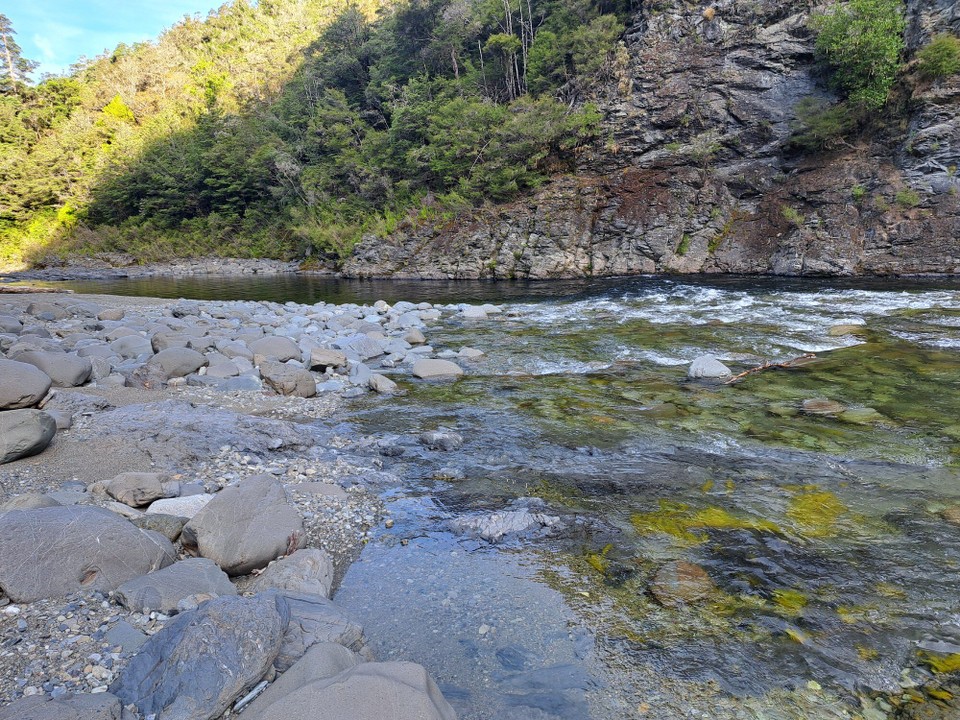 Neuseeland - Pelorus Bridge - 