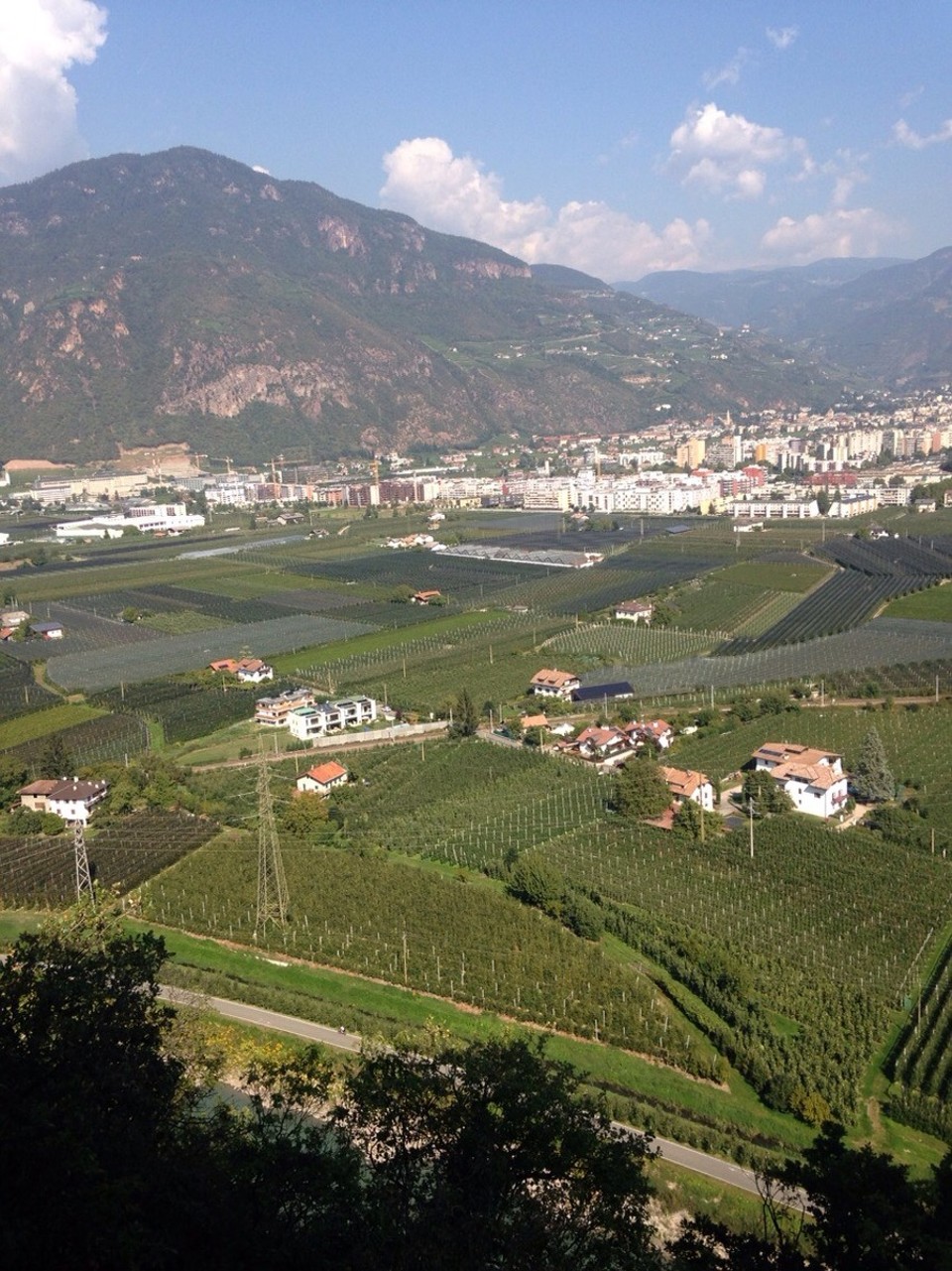 Italien - TRENTINO - ALTO ADIGE, Castel Firmiano - Messner Mountain Museum - Blick vom Castell auf Bozen and the vinyards