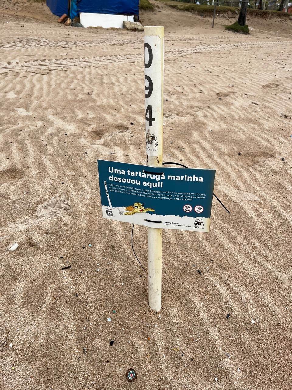 Brasilien - Salvador - Hier liegen noch Eier einer Schildkröte aus dem Meer