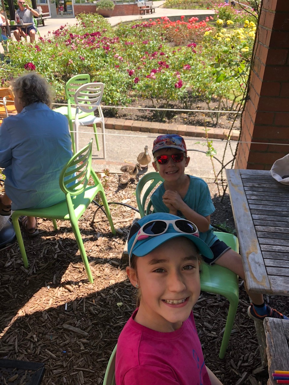 Neuseeland - Wellington - Im Picnic Café beim Lady Norwood Rose Garden essen wir Zmittag. Da hat es jede Menge ganz freche Spatzen und Enten.