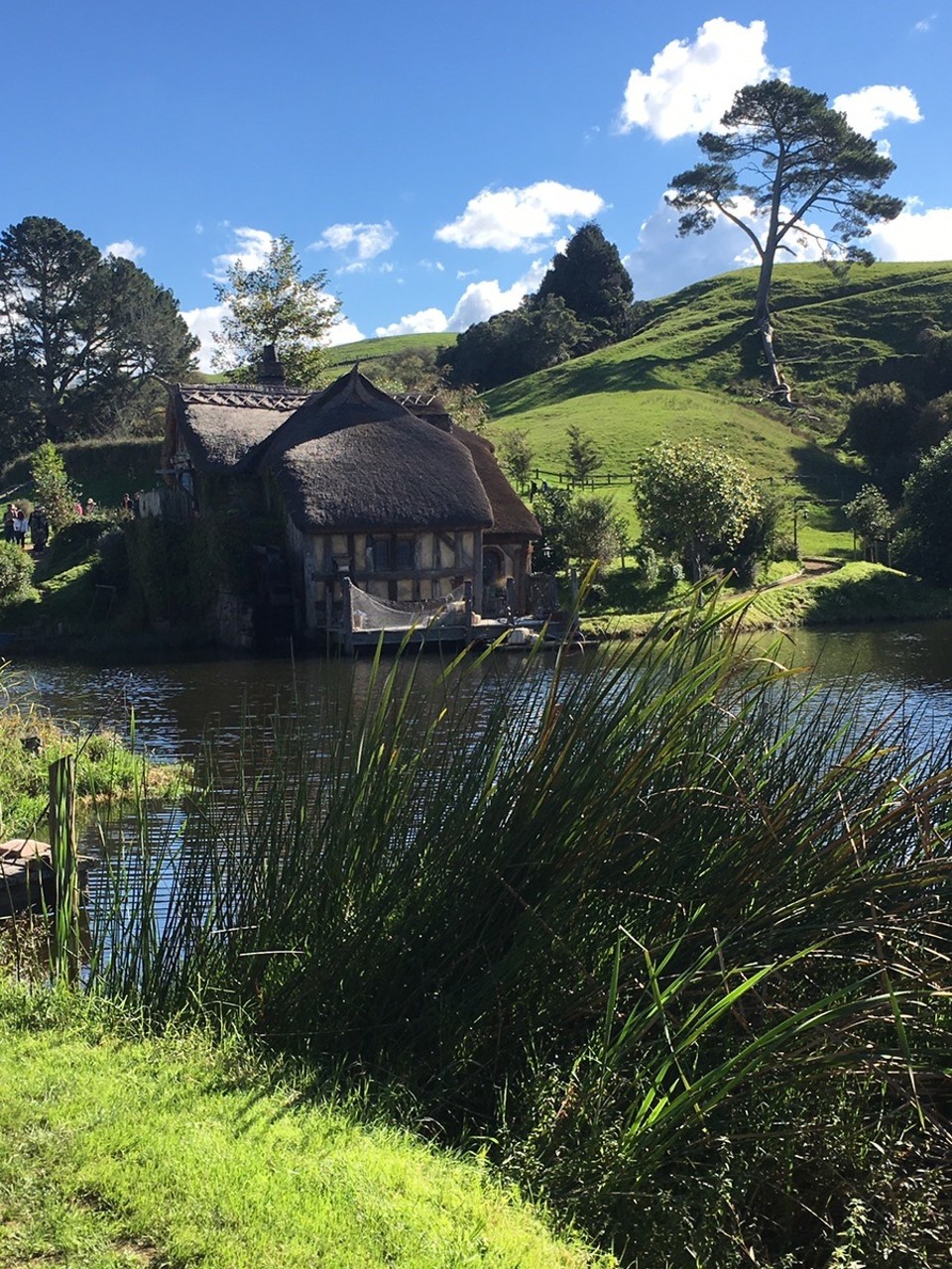 Neuseeland - Matamata - 