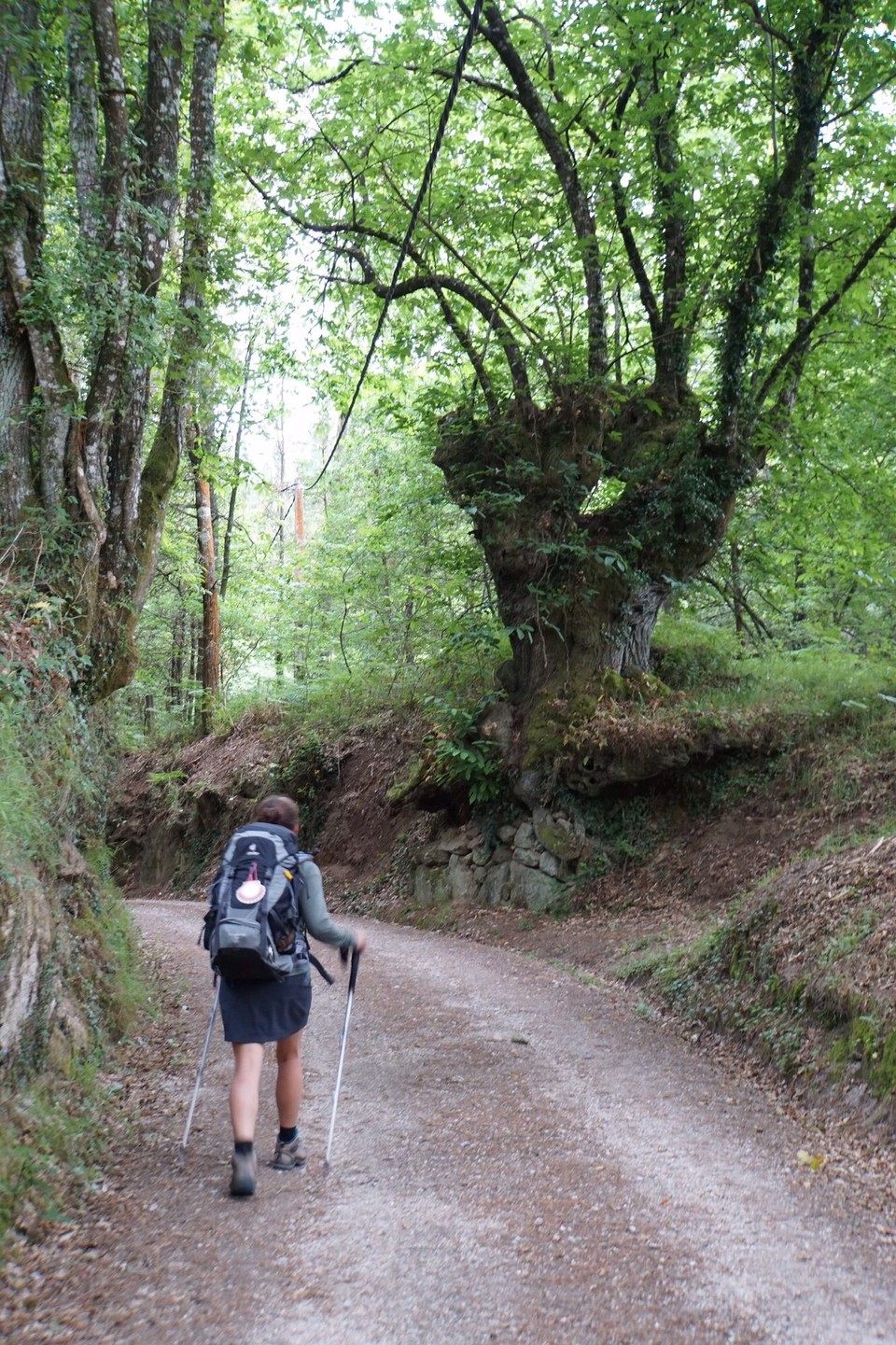 Spanien - Lugo - 