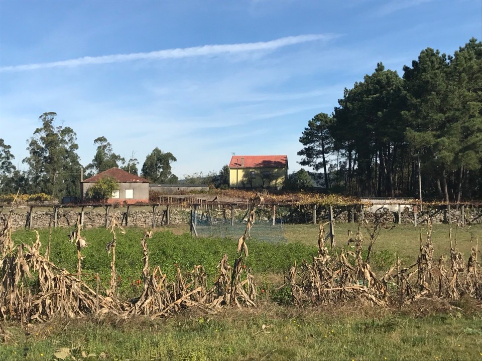 Spanien - Caldas de Reis - 