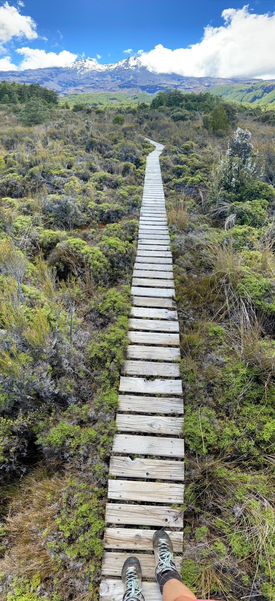 Neuseeland - Tongariro National Park - 