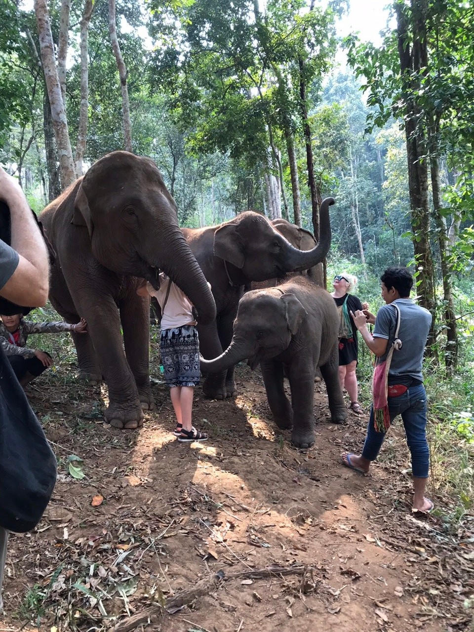 Thailand - Mae Wang - 