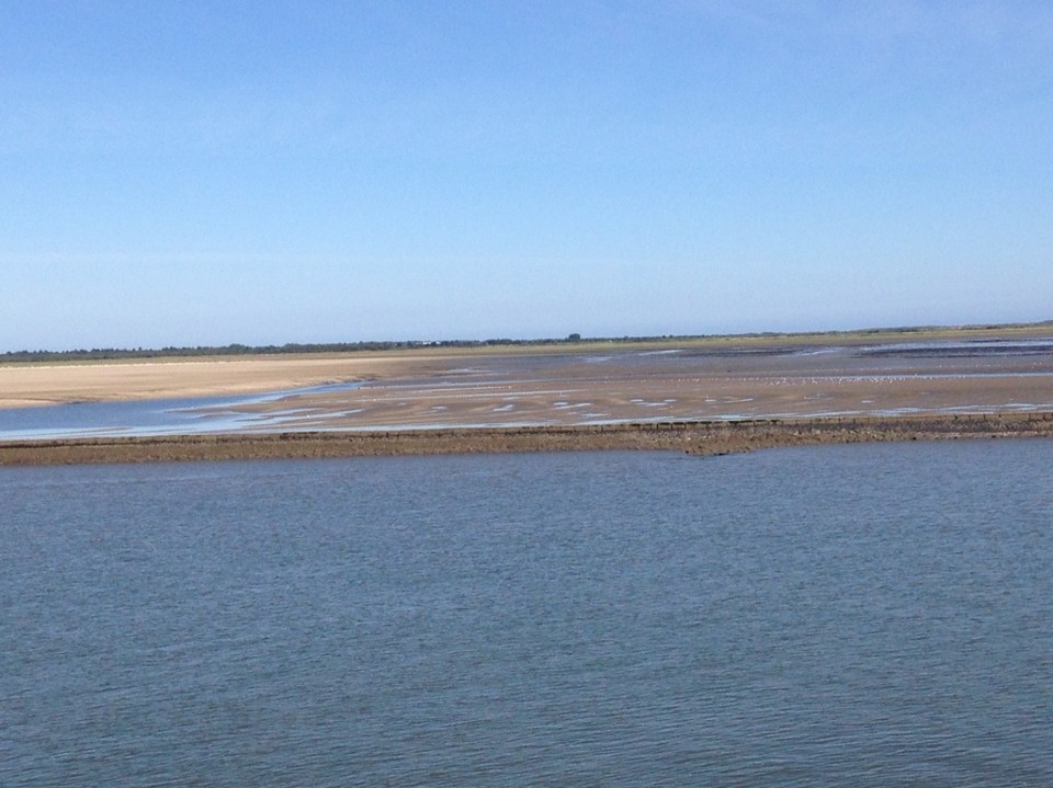 Niederlande - Eemshaven - 