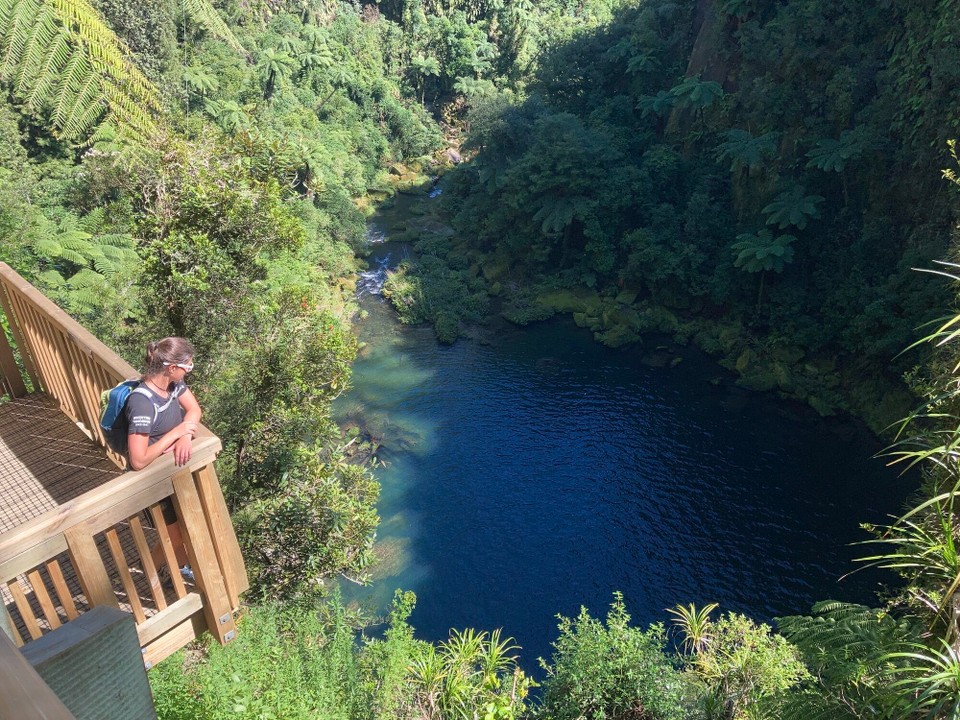 Neuseeland - Omanawa - 