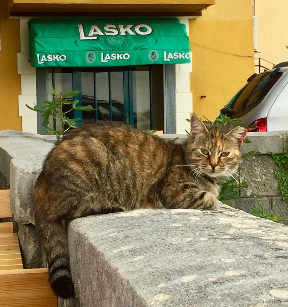 Kroatien - Labin - 