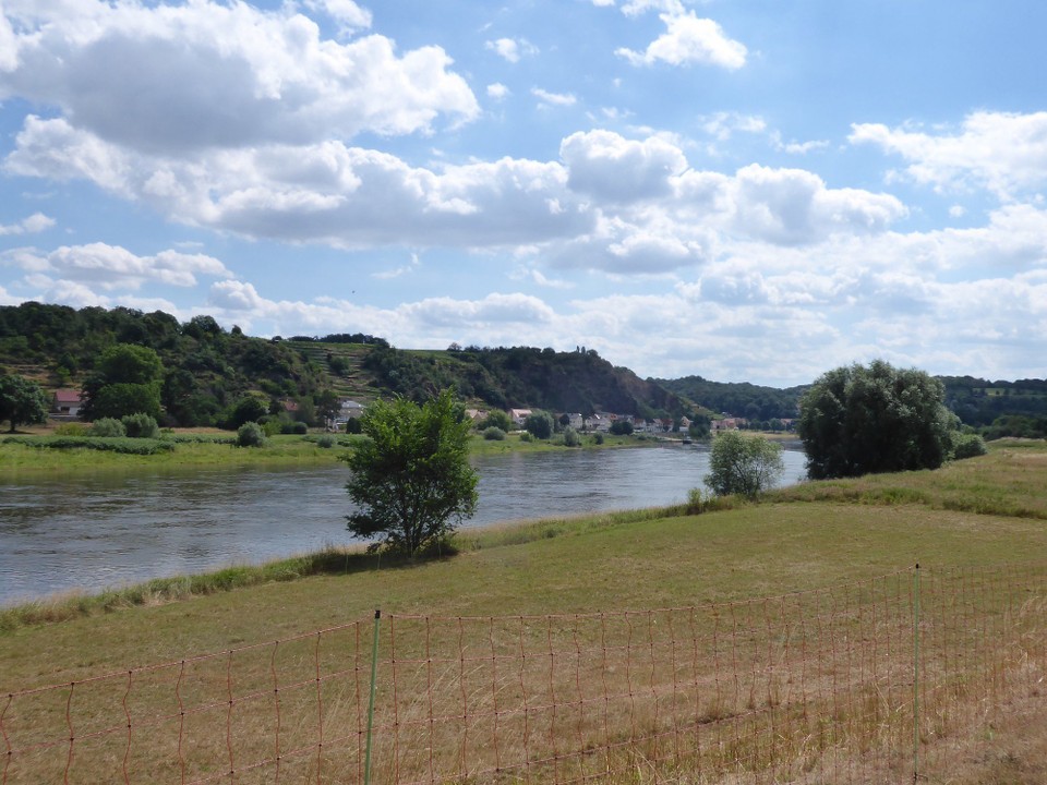 Deutschland - Dresden - Und dann, seht ihr? Schluss mit flach und weit. Auf einmal geht es los mit Hügeln, Weinbergen, rauf und runter. Da musste dich nach zwei Wochen Flachlandradeln auch erstmal dran gewöhnen.....
