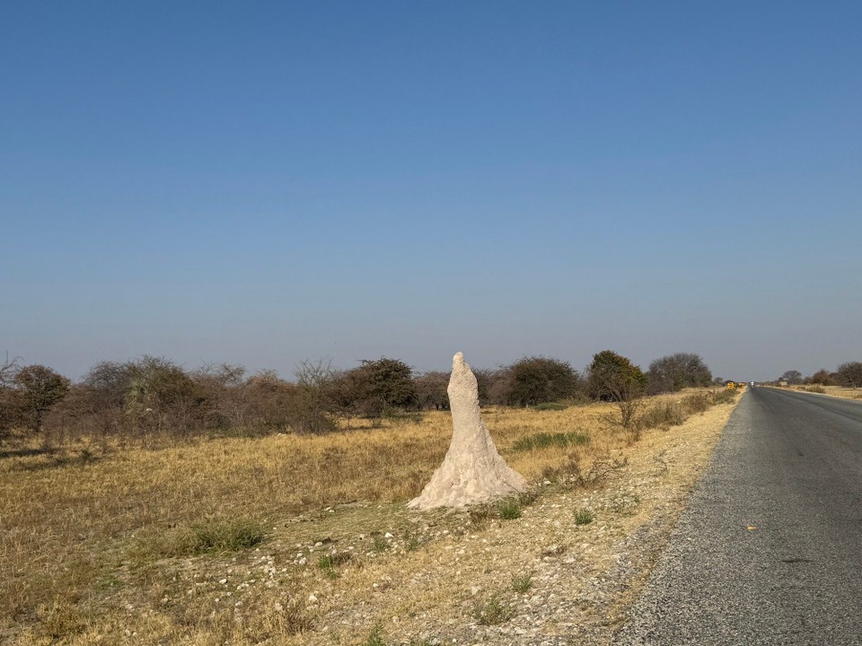 Botsuana -  - Und natürlich jede Menge dieser Kunstwerke, die Termitenhügel säumen den Straßenrand.
So, das wars mal wieder für heute, bis morgen.
