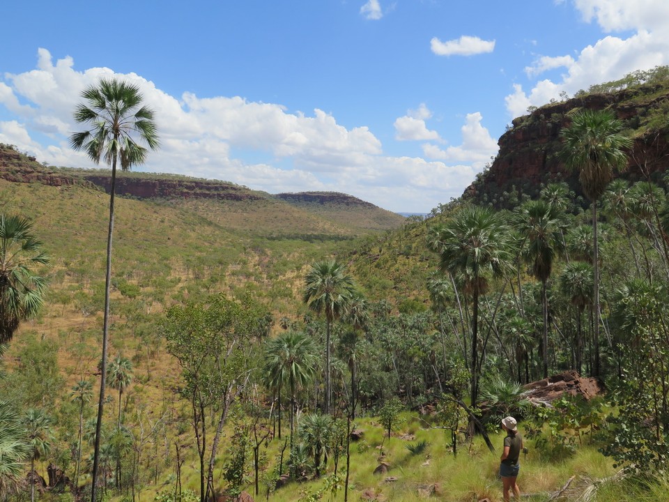 Australia - Kununurra - Gregory national park