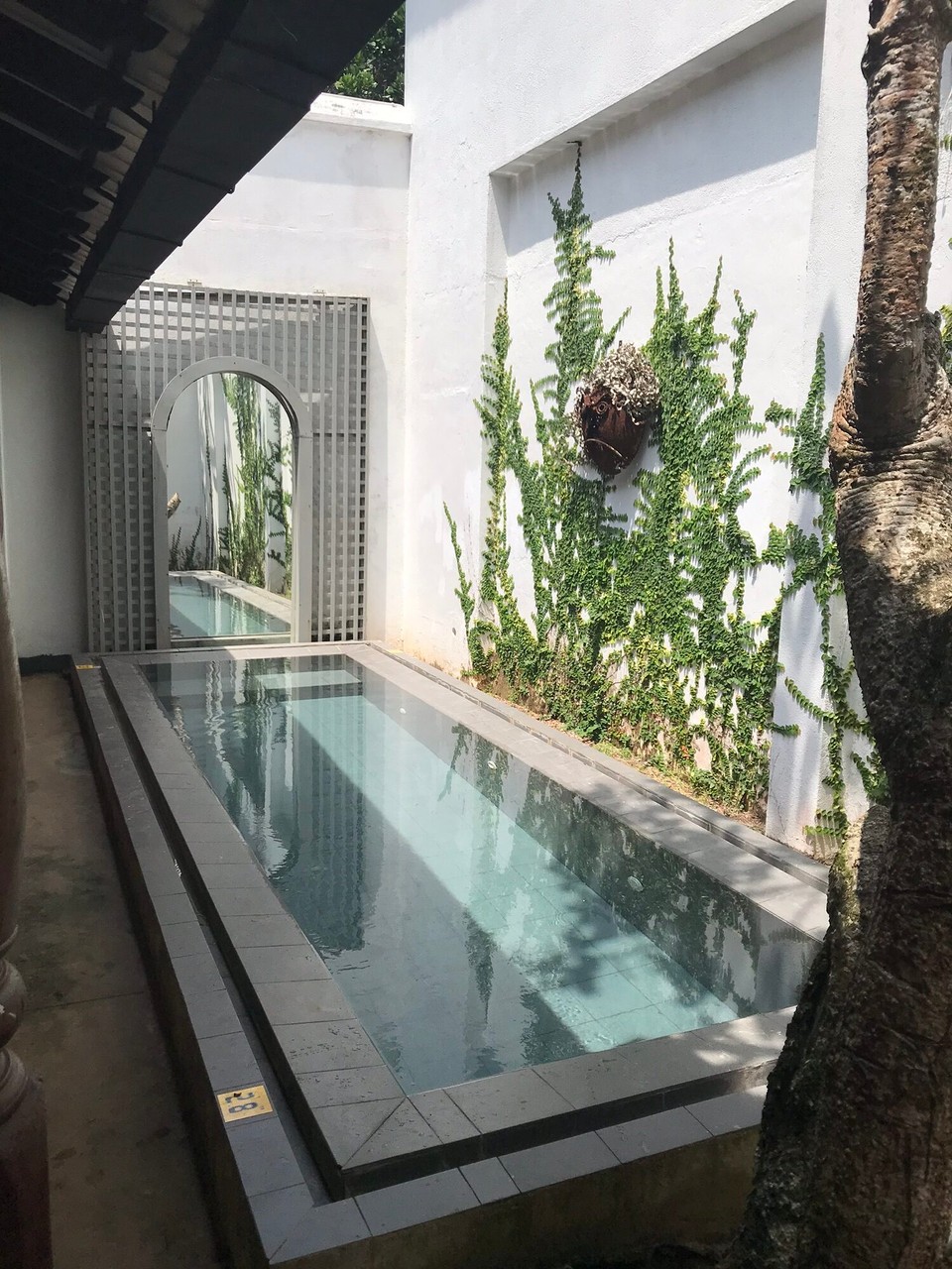 Sri Lanka -  - 