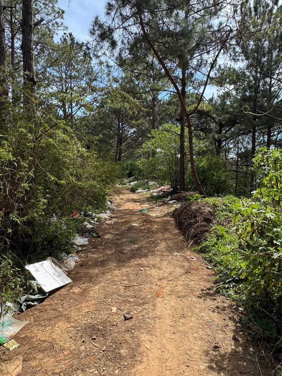 Vietnam - Da Lat - Discovered the rubbish tip on our walk!