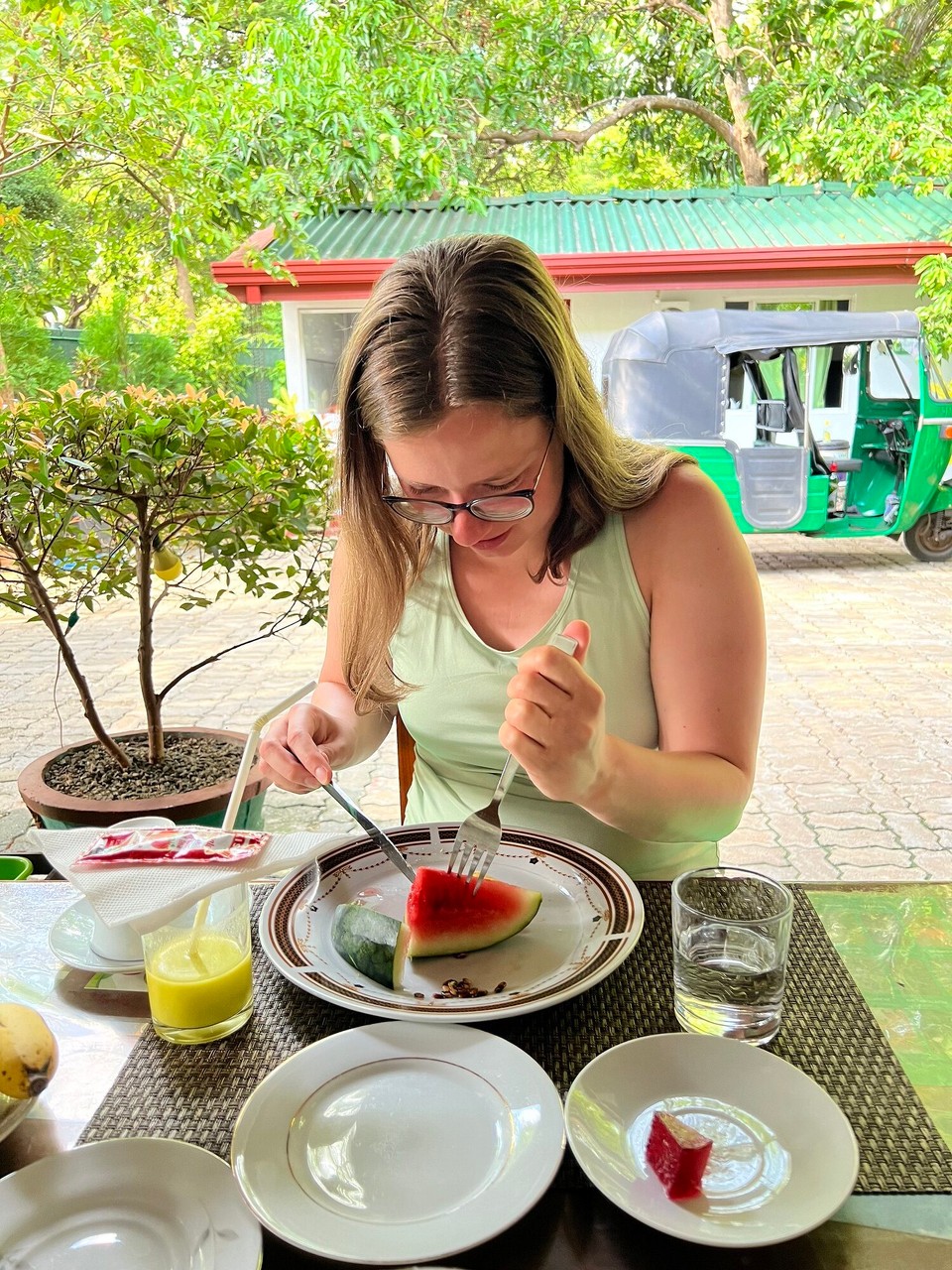 Sri Lanka - Dambula - Na Frau Doktor, wie läuft die Operation 👩‍⚕️🩺?