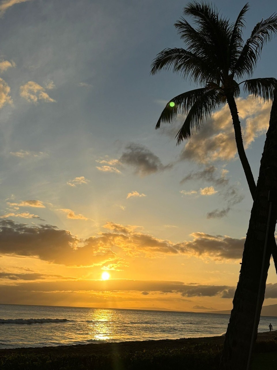 Vereinigte Staaten - Kaanapali - 