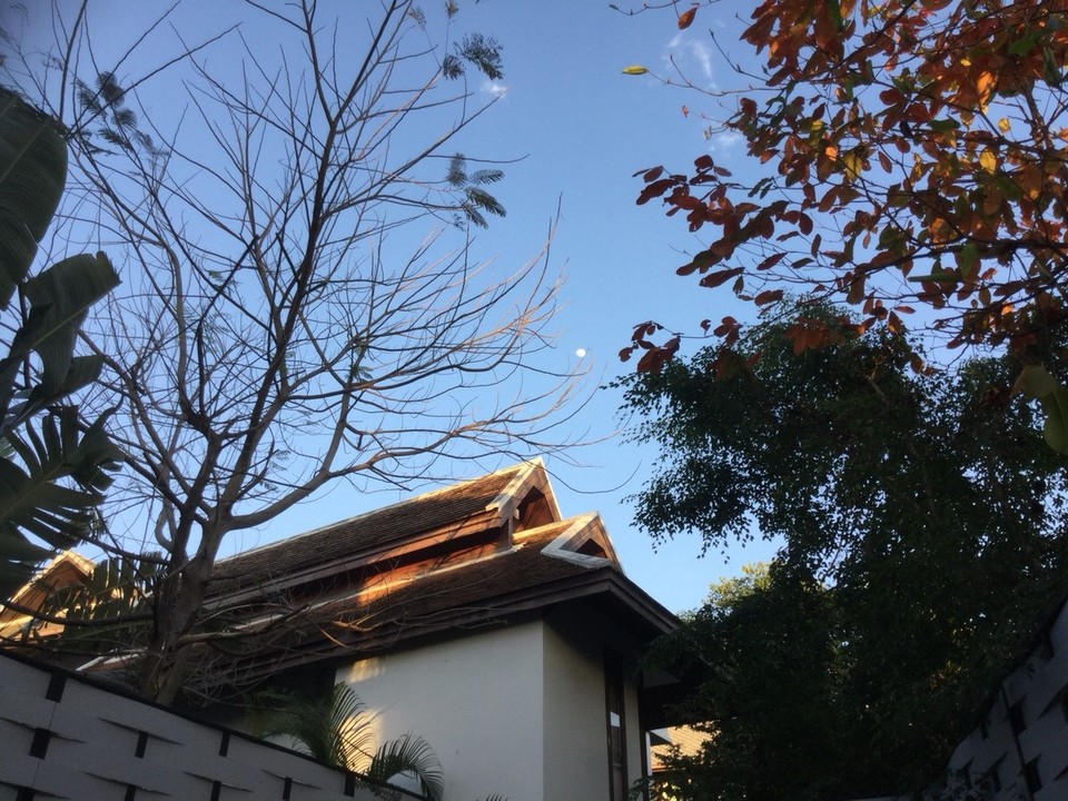 Thailand - Chiang Mai - 