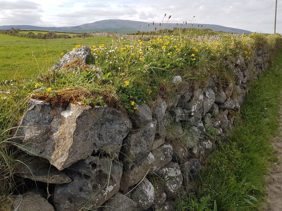 Irland - Westport - 